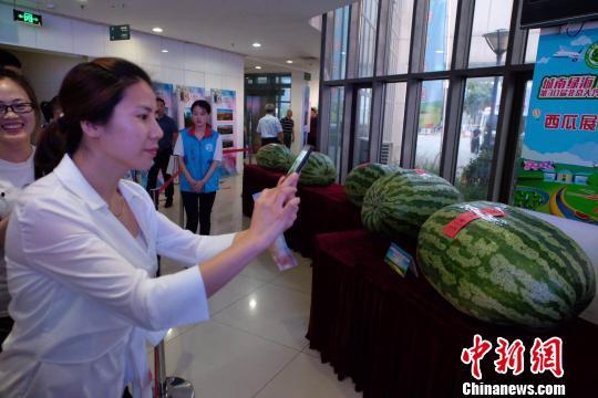 广德吃瓜最新事件爆料新闻,最新爆料揭露惊人内幕